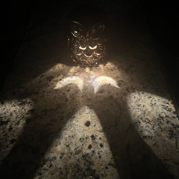 Better Homes Gardens Owl Wax Warmer Gold Electric Fall Cottagecore Decor - Picture 11 of 11